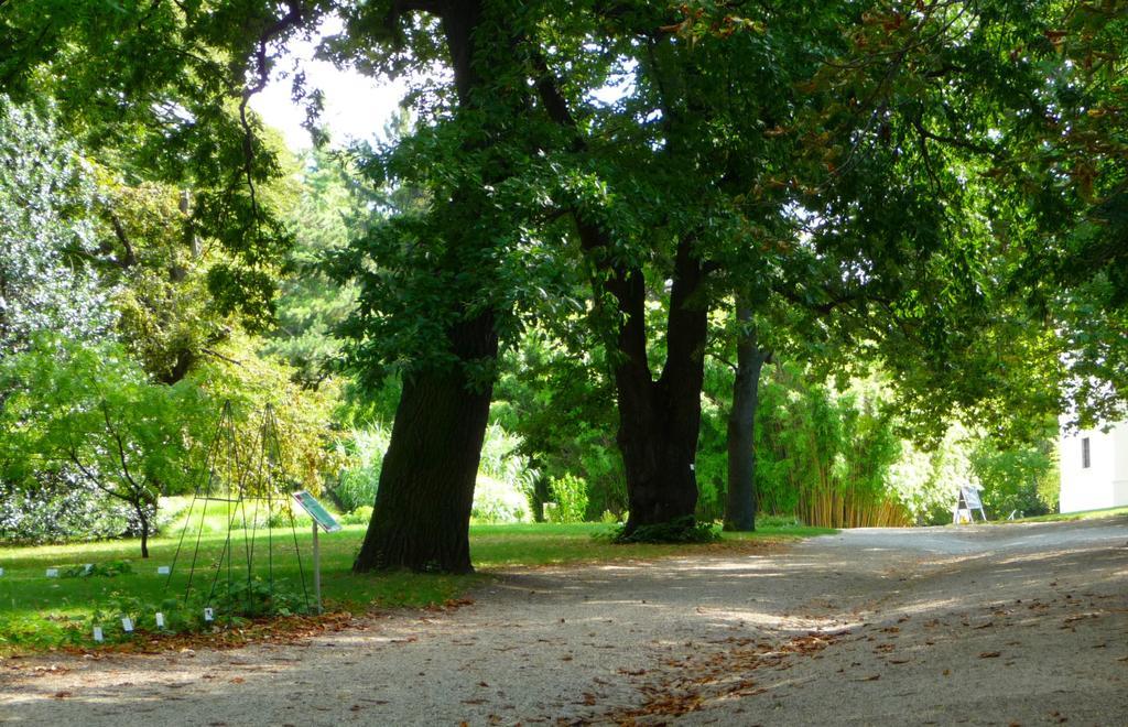 Streetview Wien - Premium Apartment Beim Belvedere Екстер'єр фото